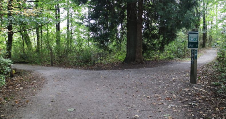 転換期の時代に、心と体を整え安心して生きるウェルネスな暮らしのイメージ